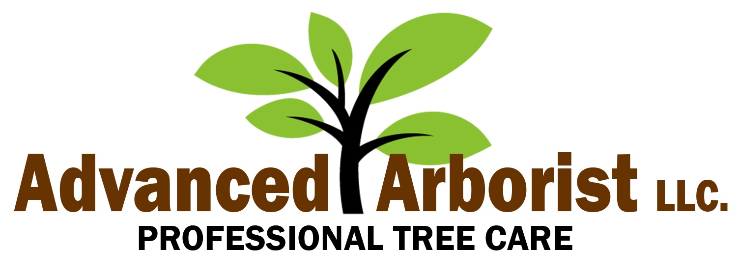 Advanced Arborist LLC