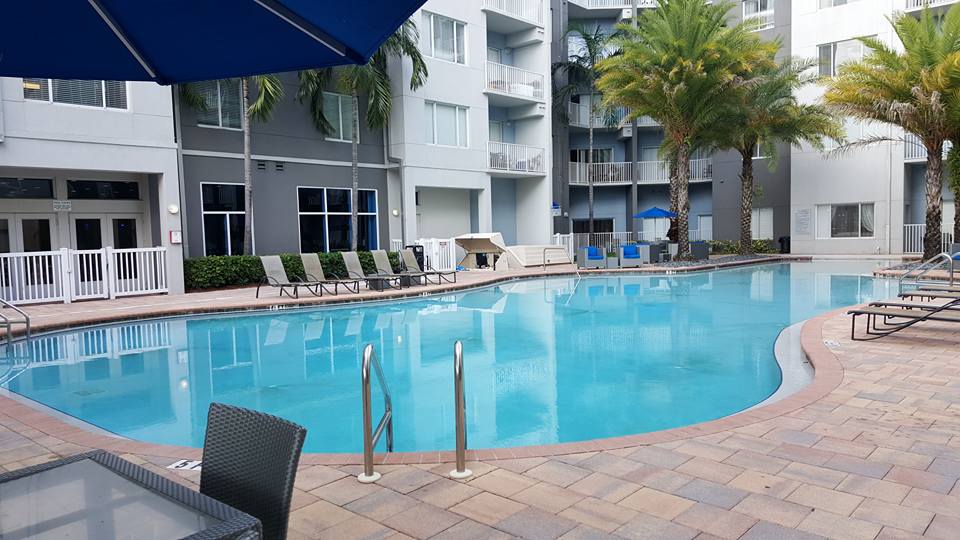 A Tropical Oasis Pool Inc. picture