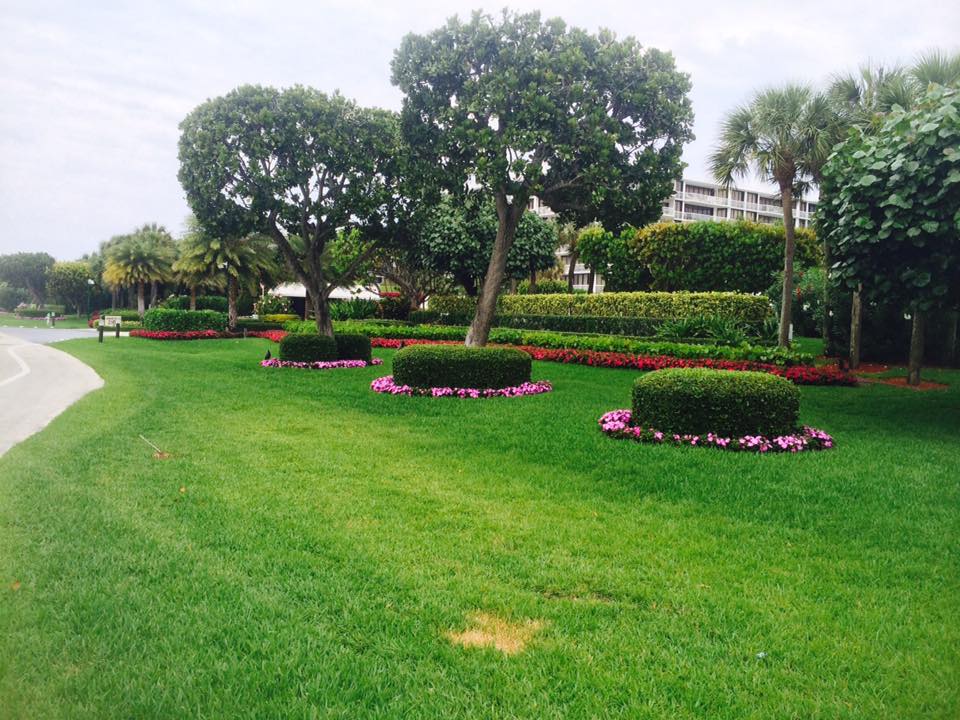Rescue Lawn Service picture