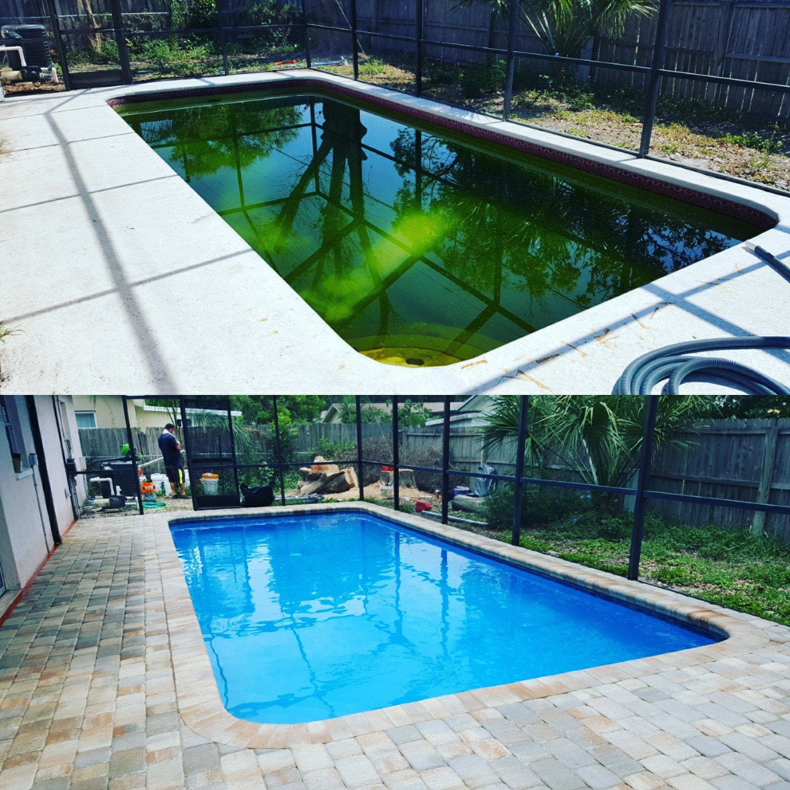 A Tropical Oasis Pool Inc. picture