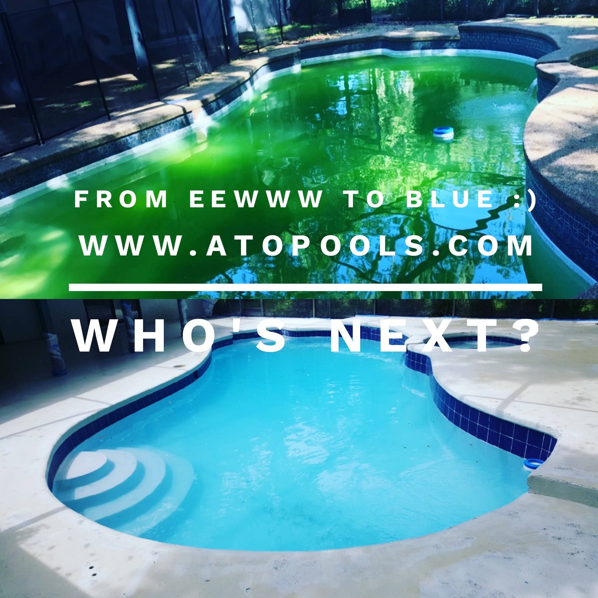 A Tropical Oasis Pool Inc. picture