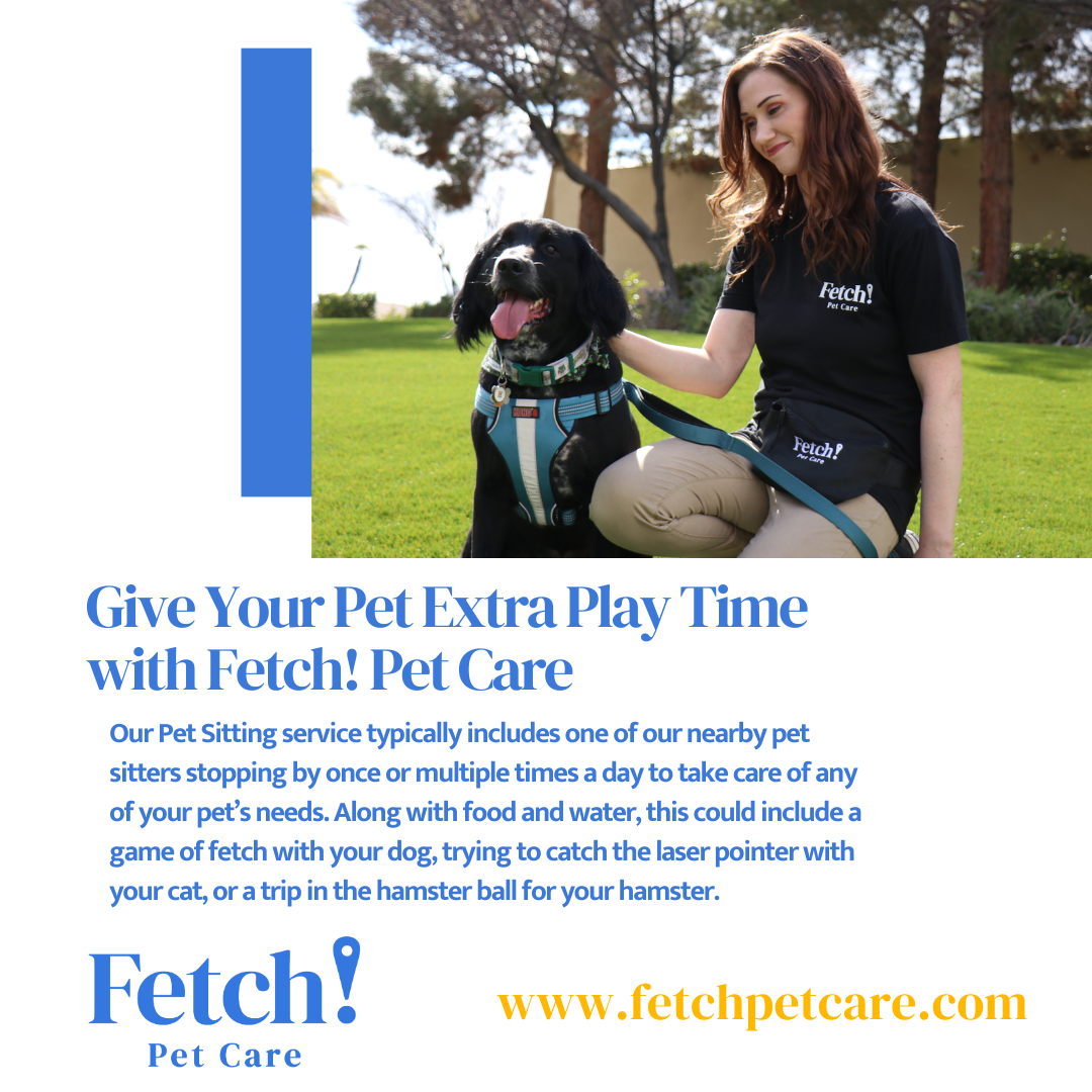 Fetch!Petcare of EastHollywood picture