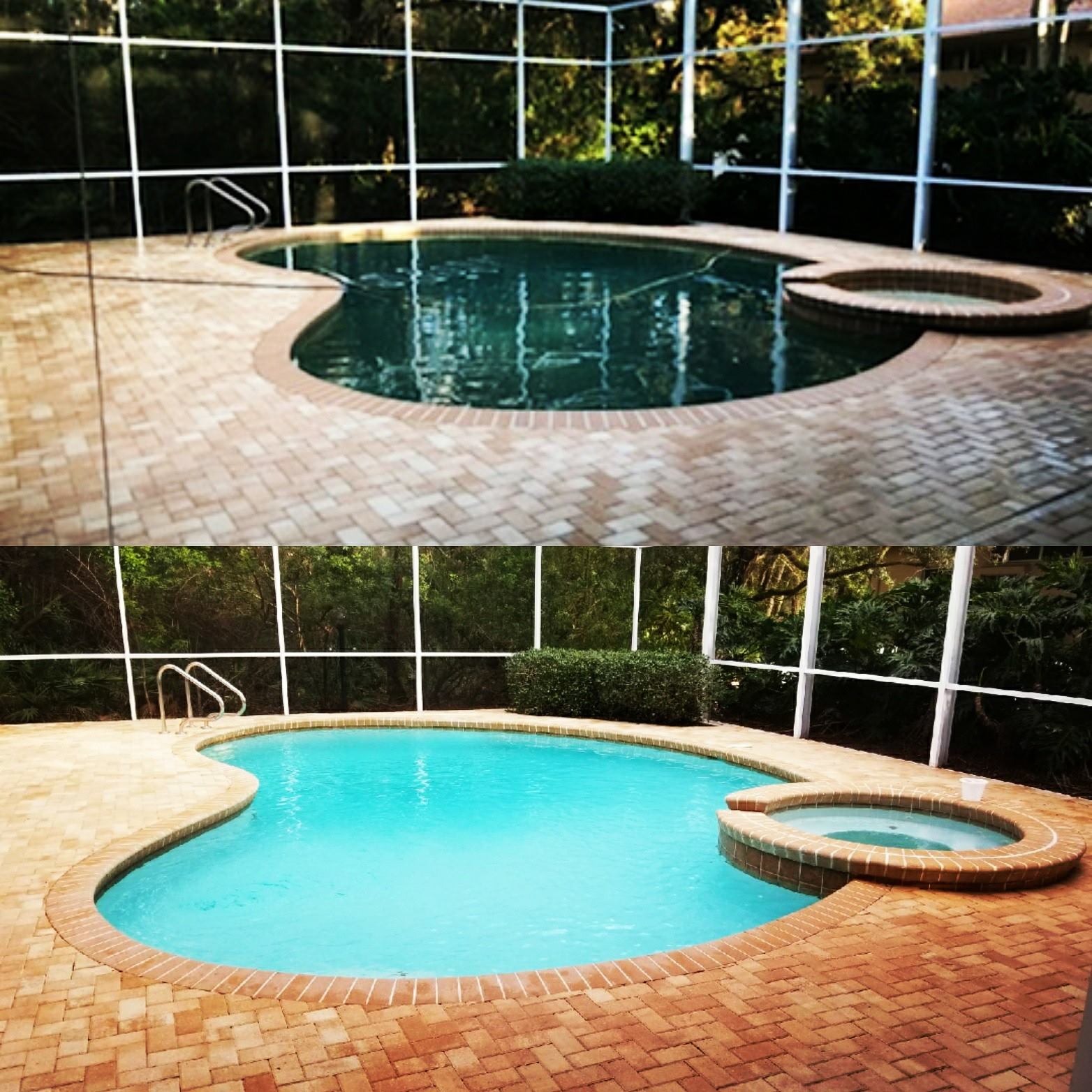 A Tropical Oasis Pool Inc. picture