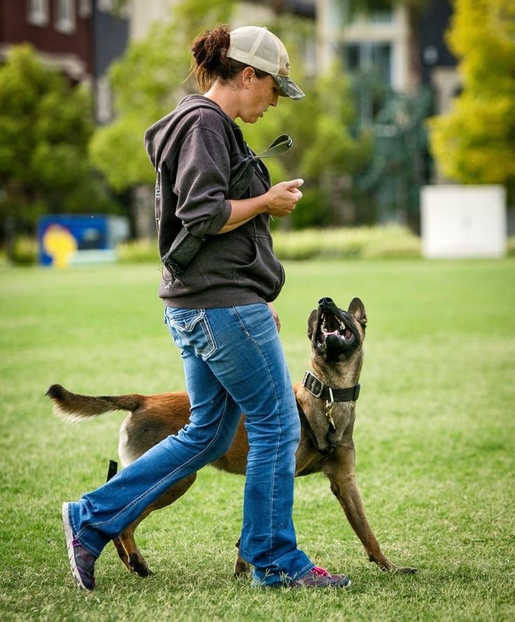 Lisa’s Dog Services picture