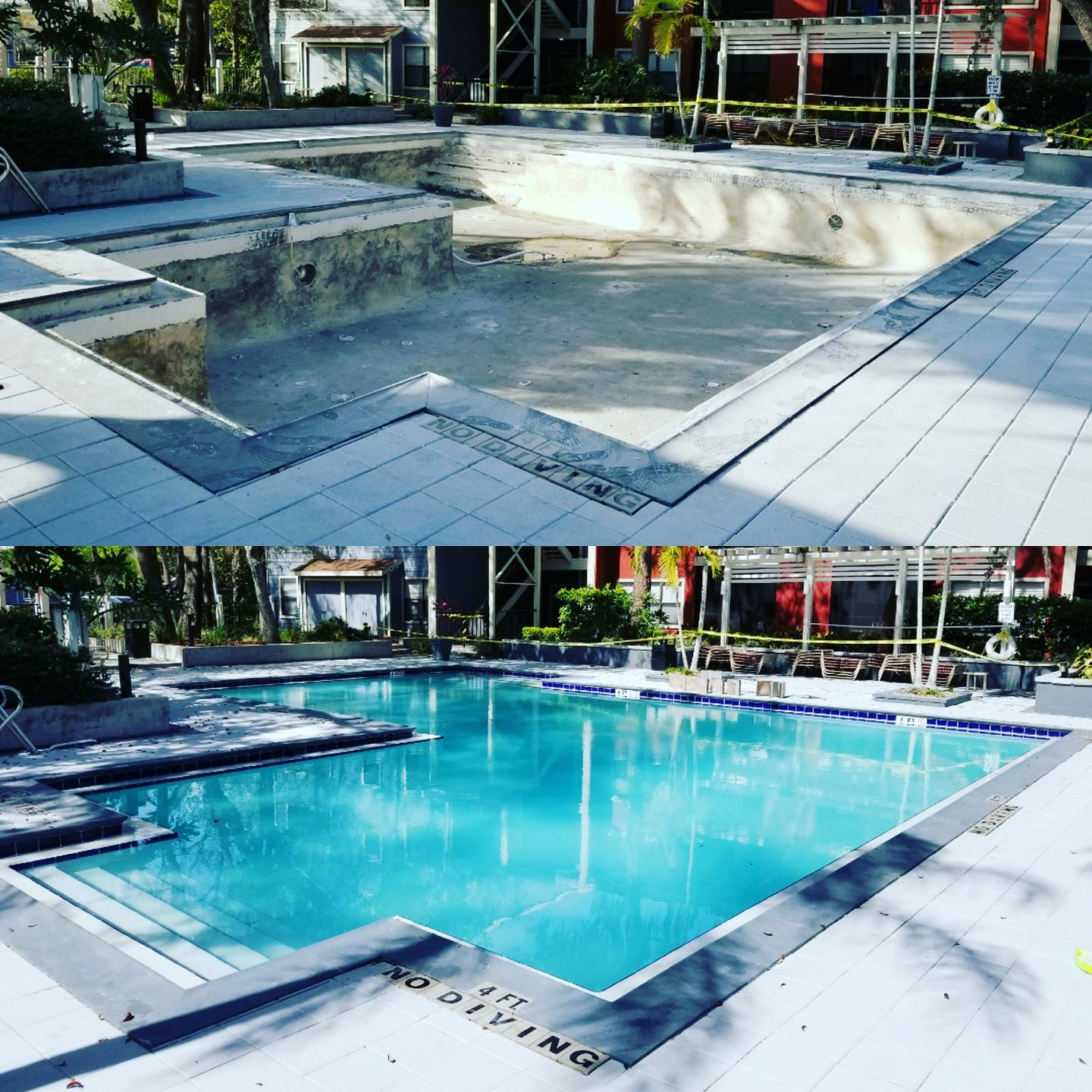 A Tropical Oasis Pool Inc. picture