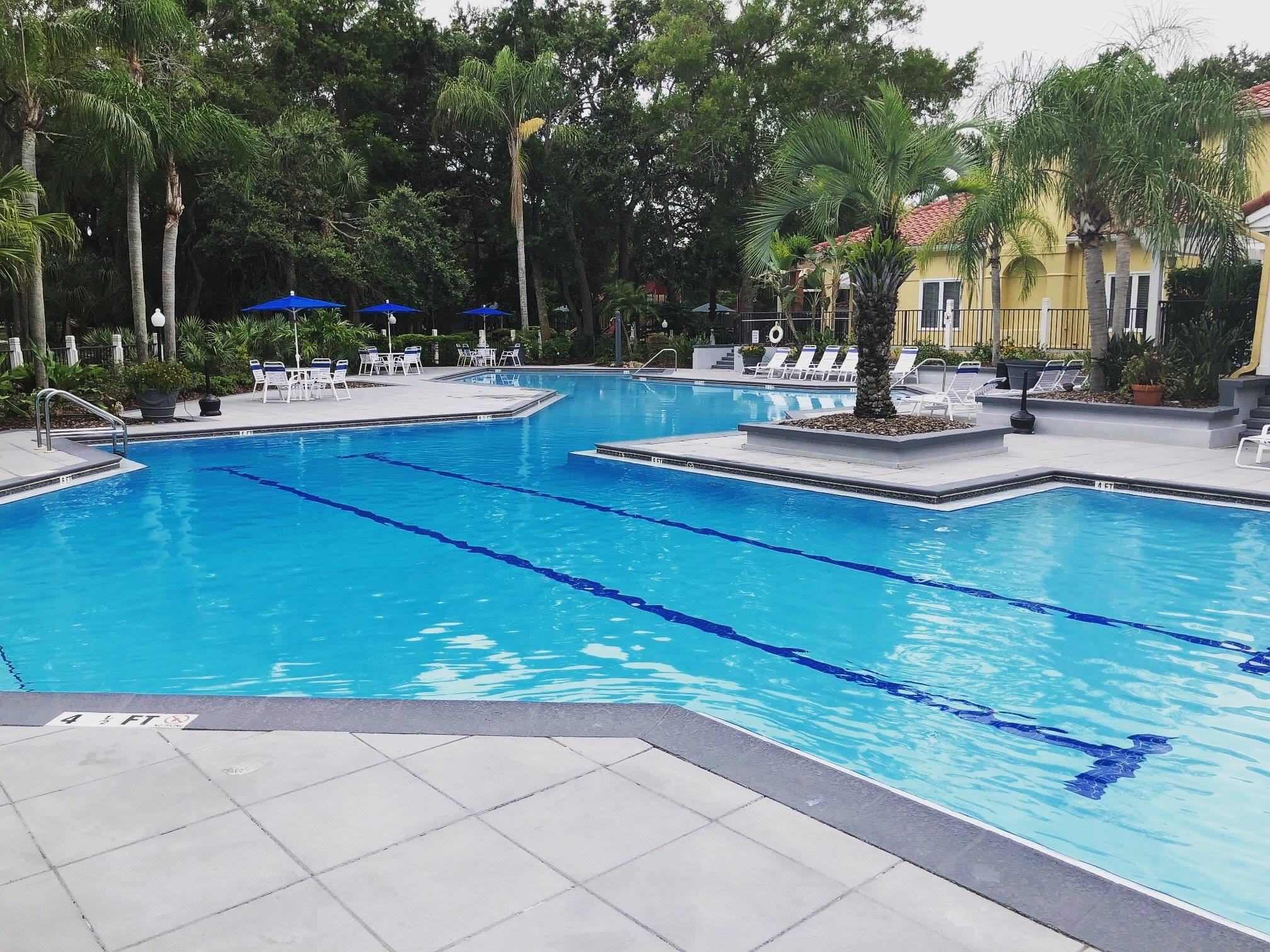 A Tropical Oasis Pool Inc. picture