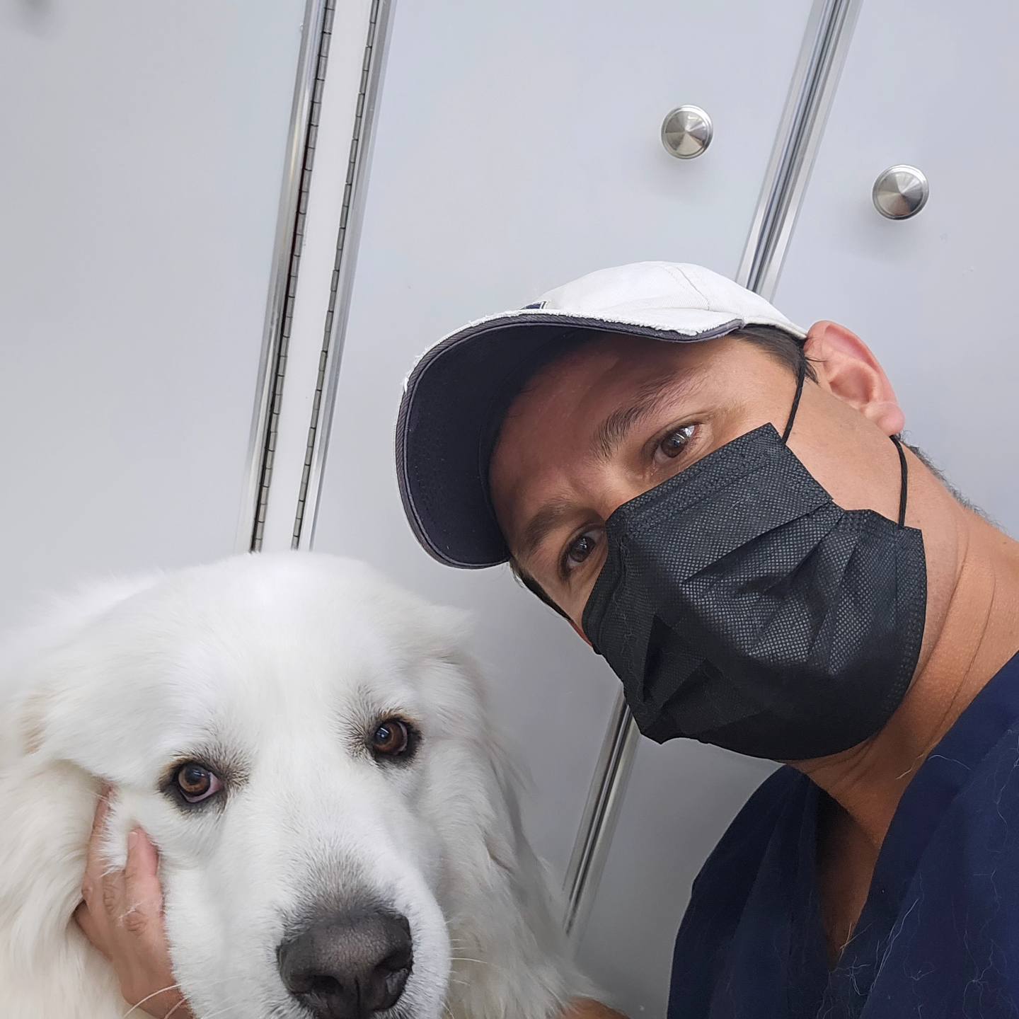 Fur Ever Natural & Fresh mobile Pet Grooming picture
