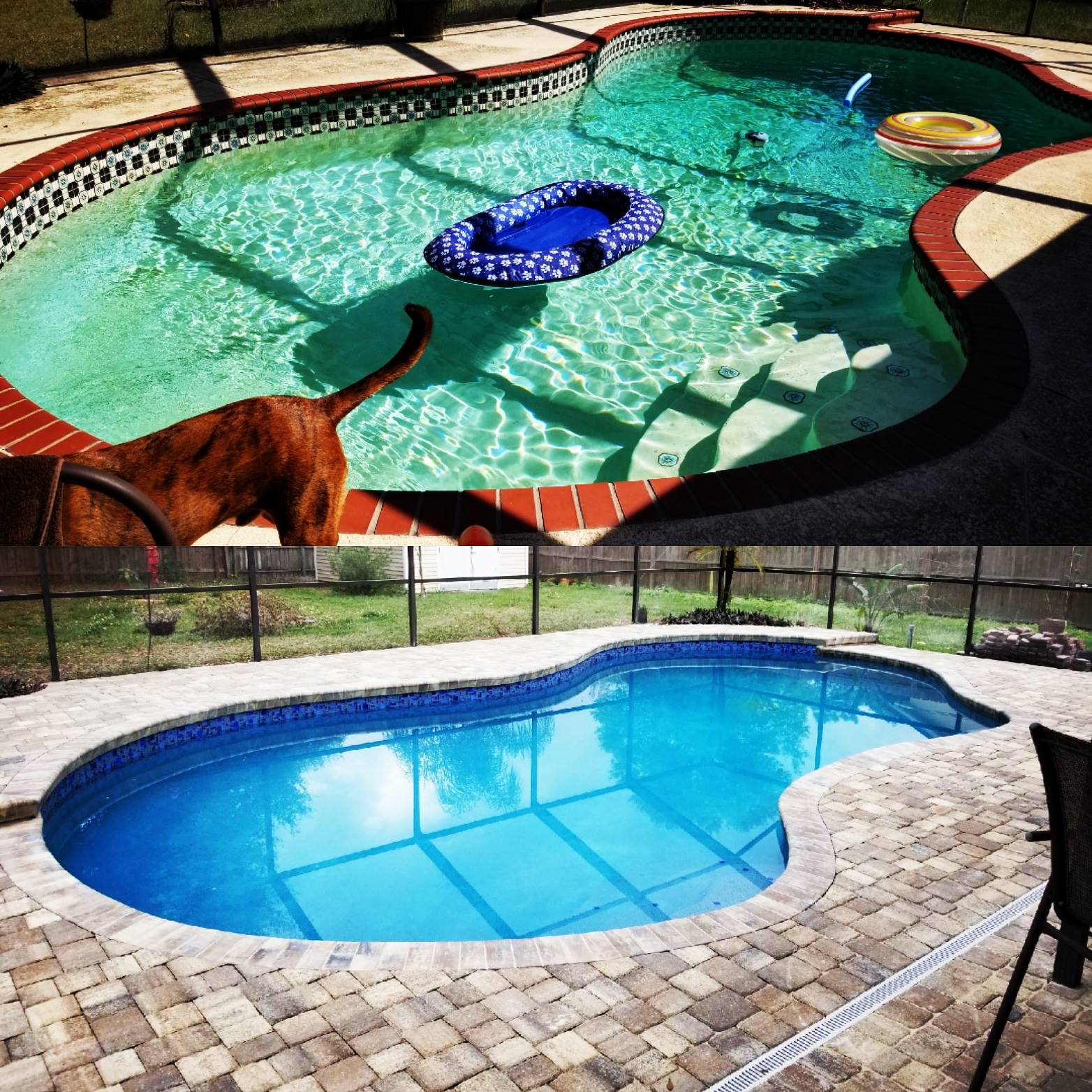 A Tropical Oasis Pool Inc. picture