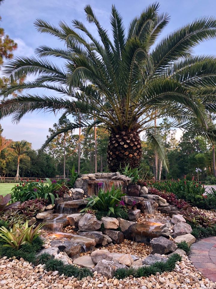 Sanctuary Gardens picture