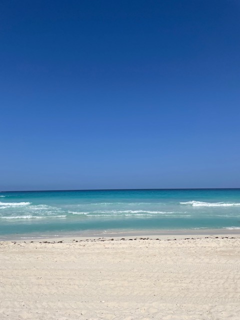 Danventures Travel Agency picture