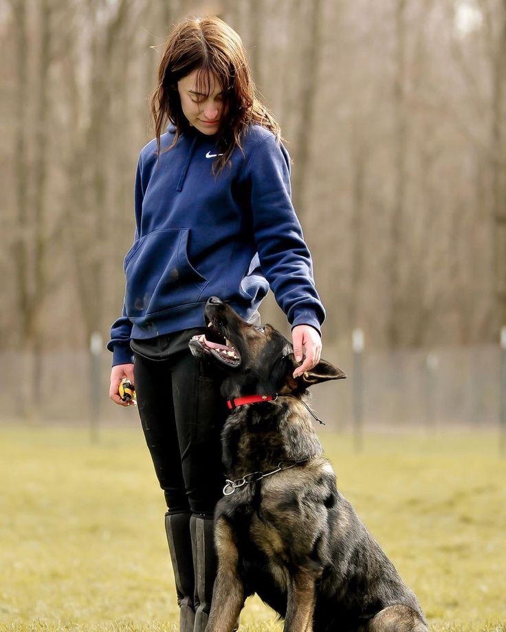 Lisa’s Dog Services picture