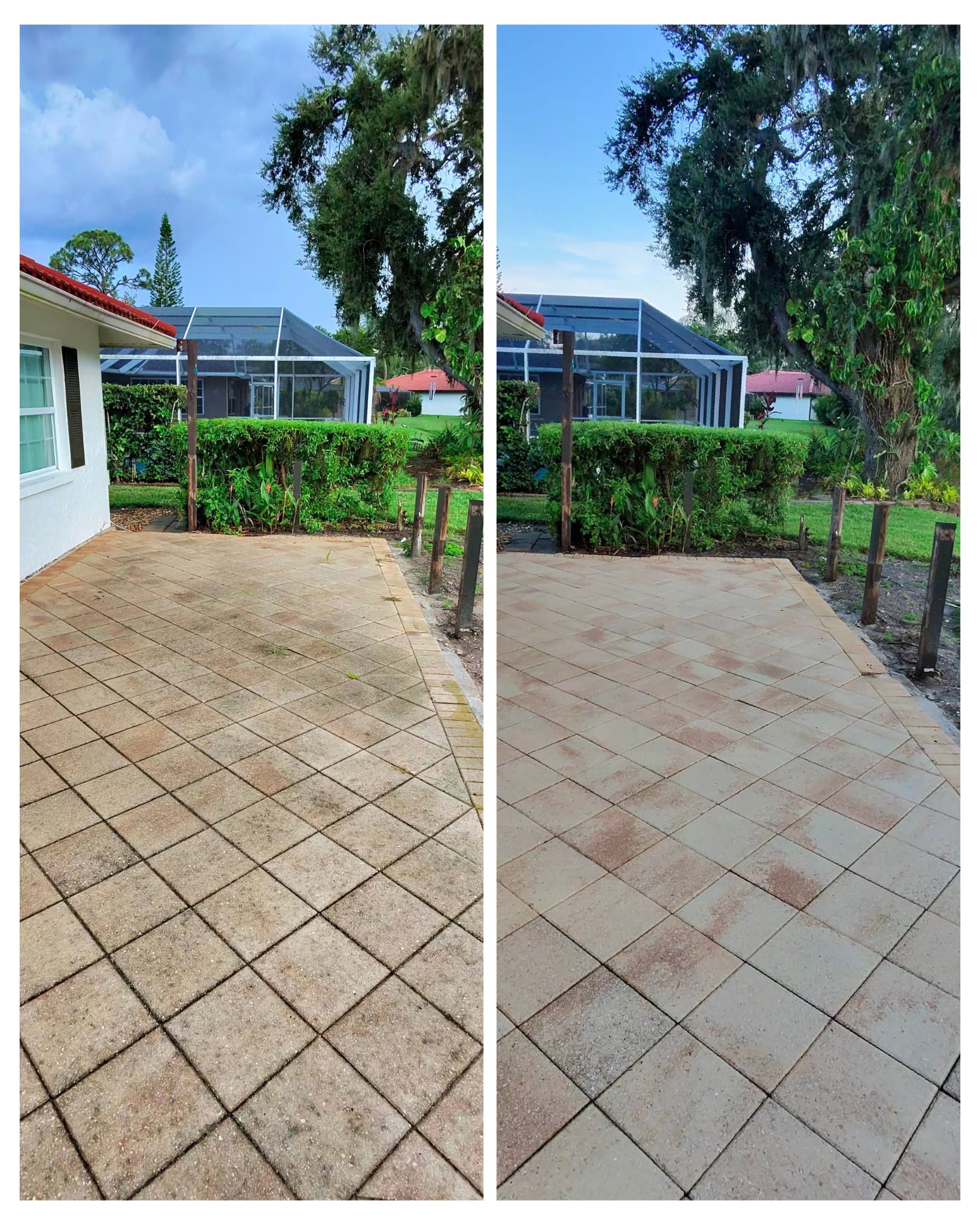 Spotless Cleaning Services and More LLC picture
