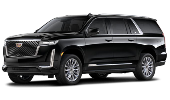 Transnora Limousine picture