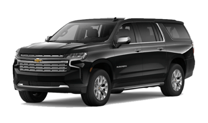 Transnora Limousine picture