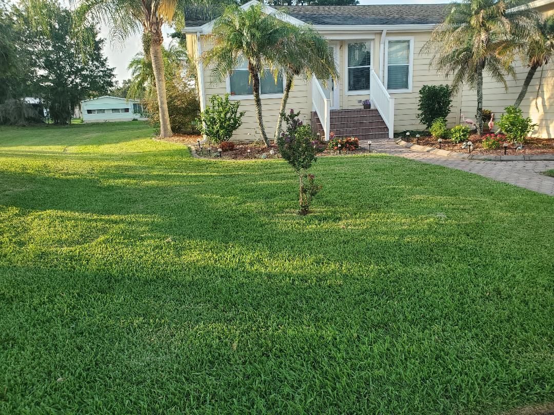 Safari Pest Control, LLC picture