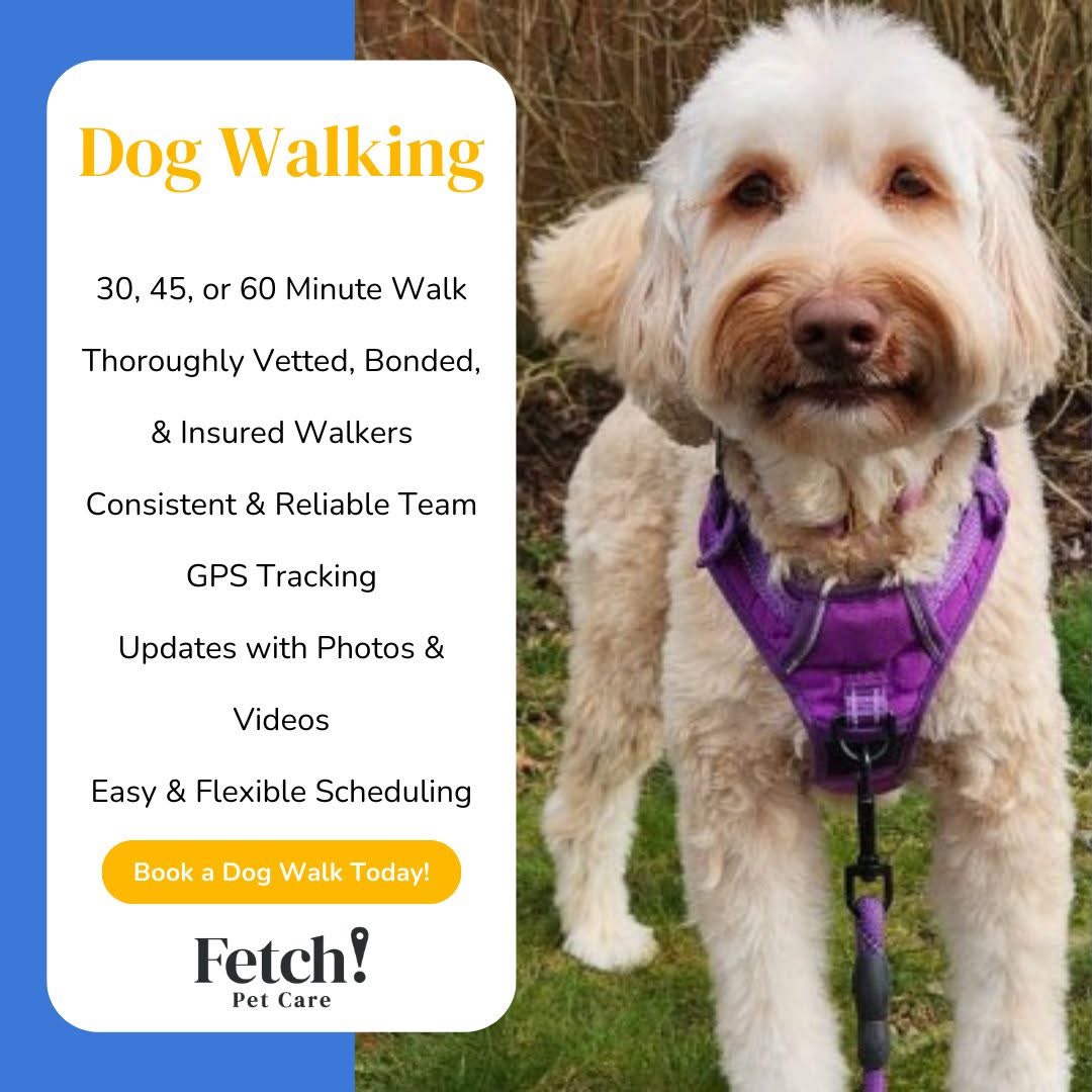 Fetch!Petcare of EastHollywood picture