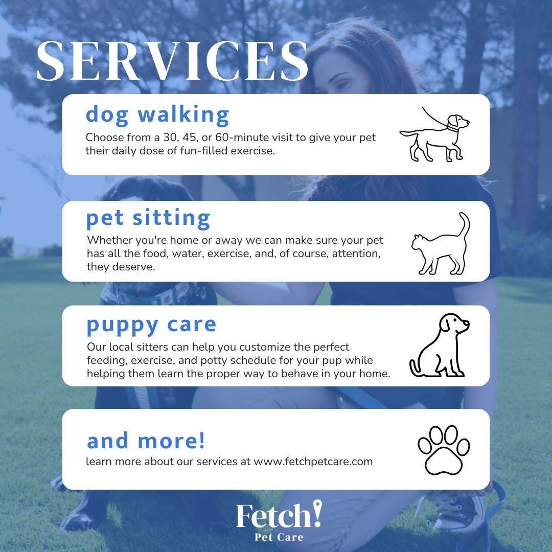 Fetch!Petcare of EastHollywood picture