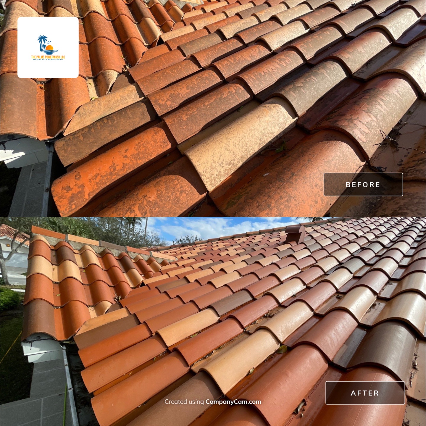 The Palms PowerWash LLC picture