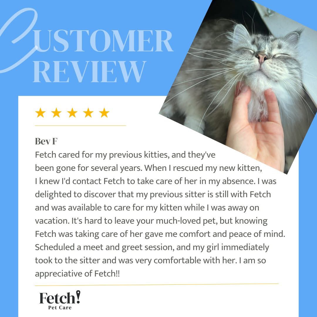 Fetch!Petcare of EastHollywood picture