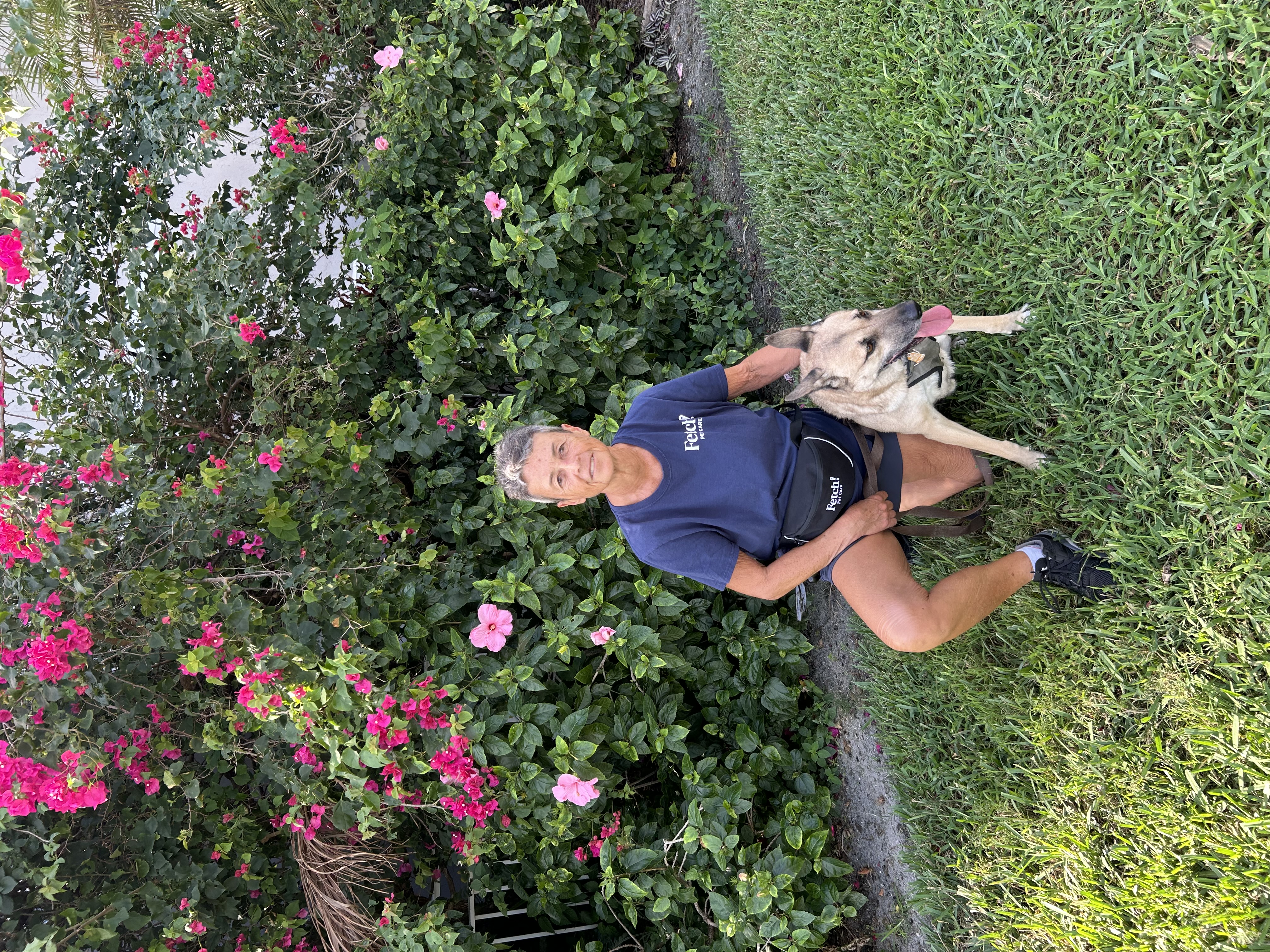 Fetch!Petcare of EastHollywood picture