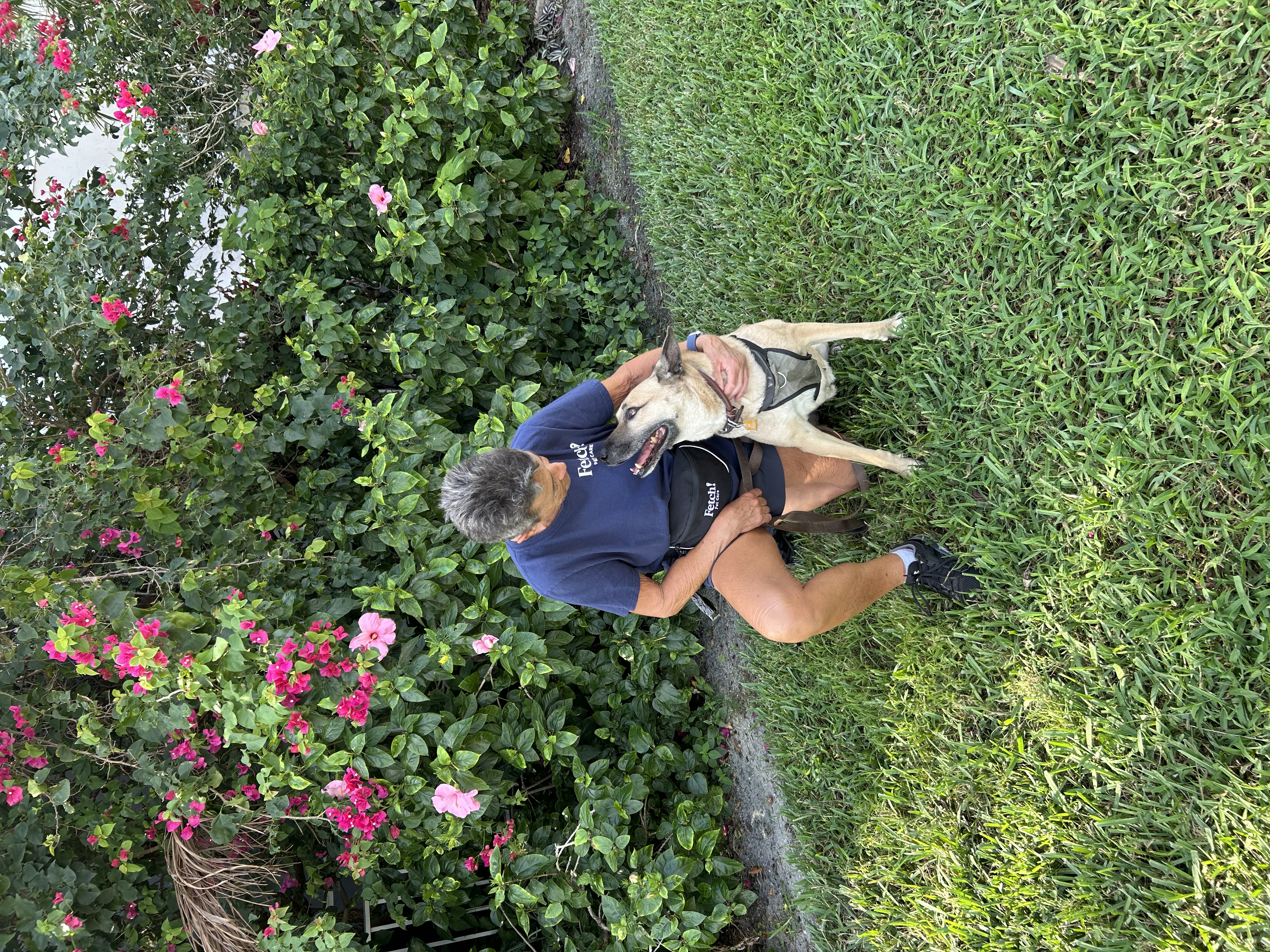 Fetch!Petcare of EastHollywood picture