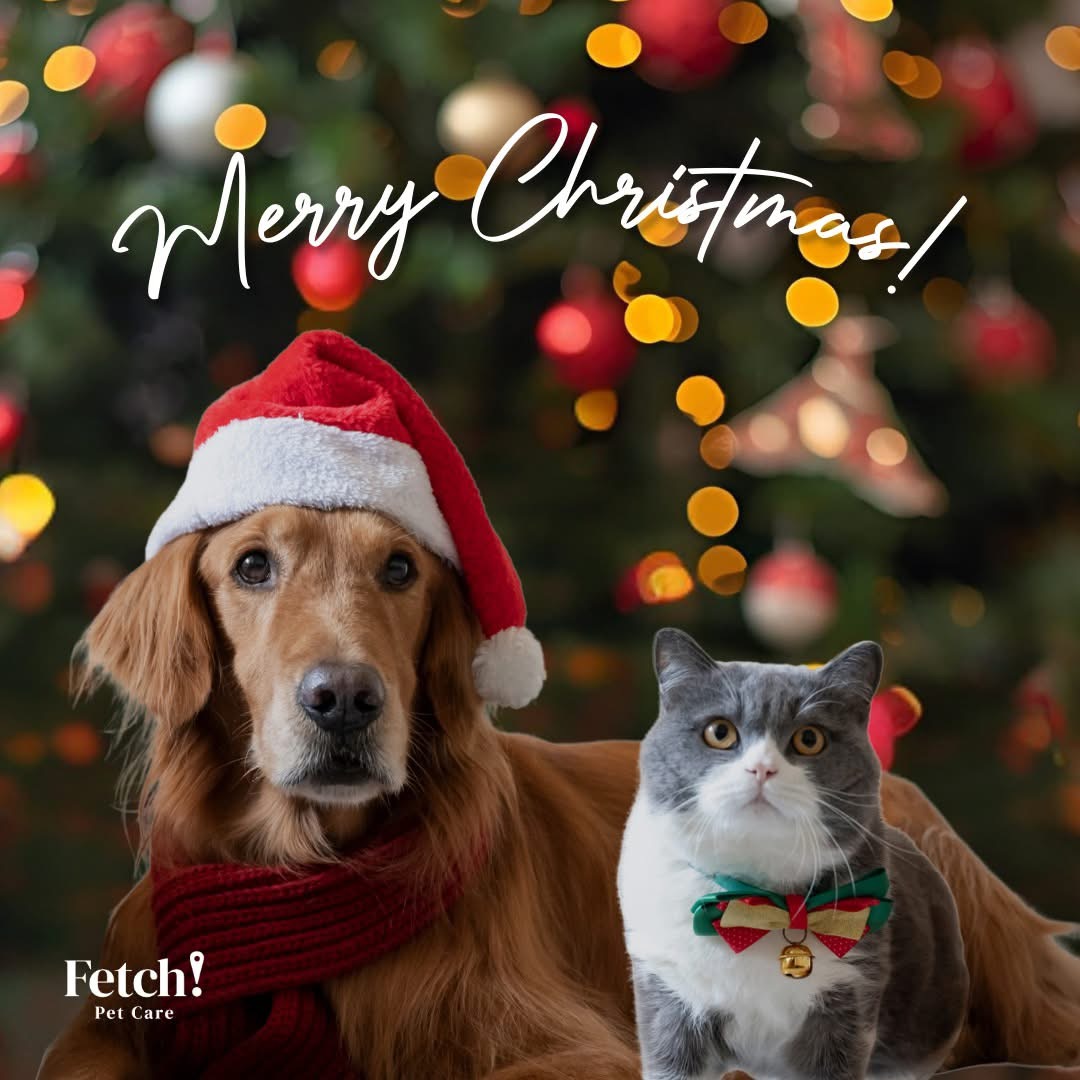 Fetch!Petcare of EastHollywood picture