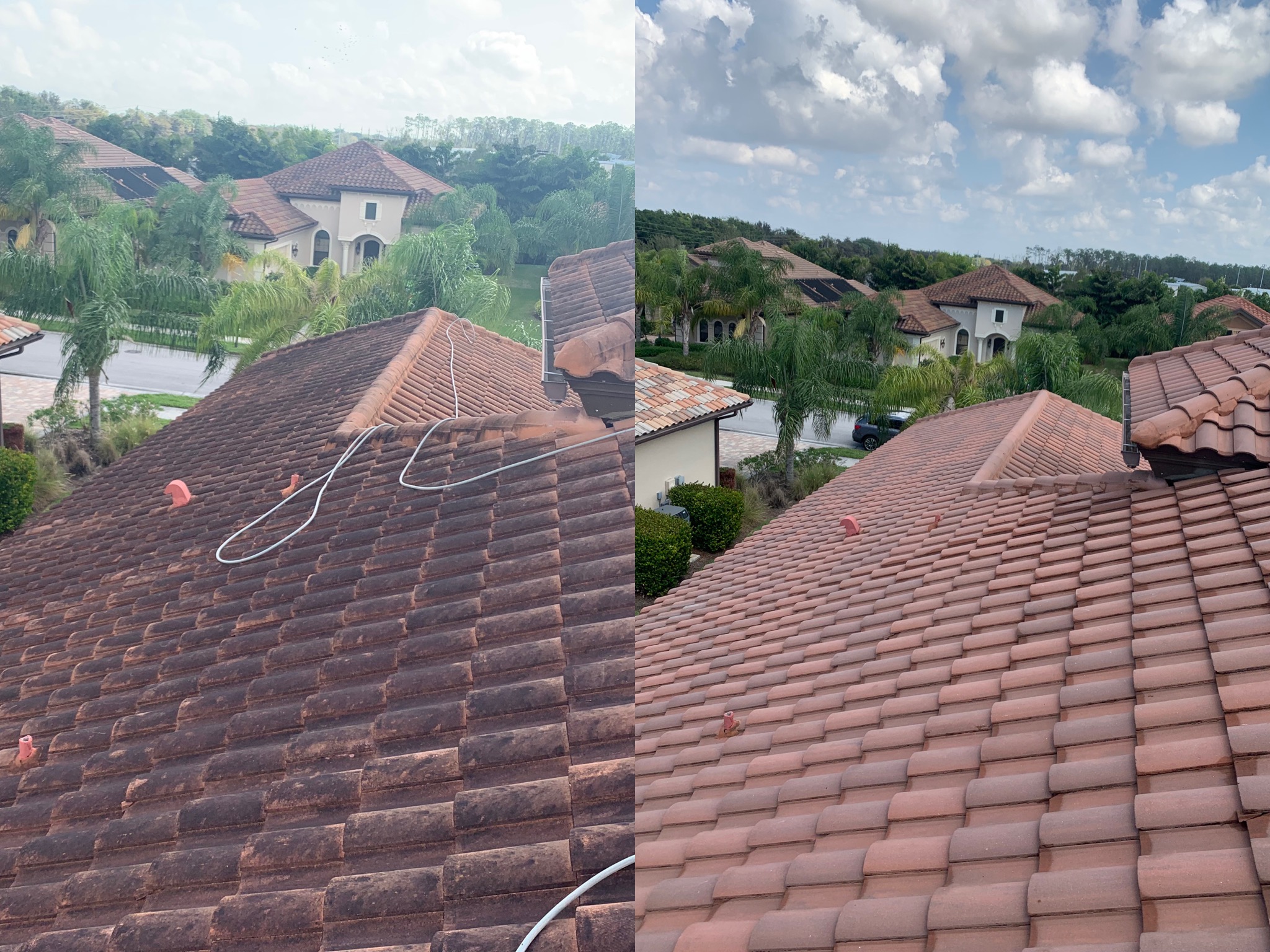 Roofcare Of SW FL picture