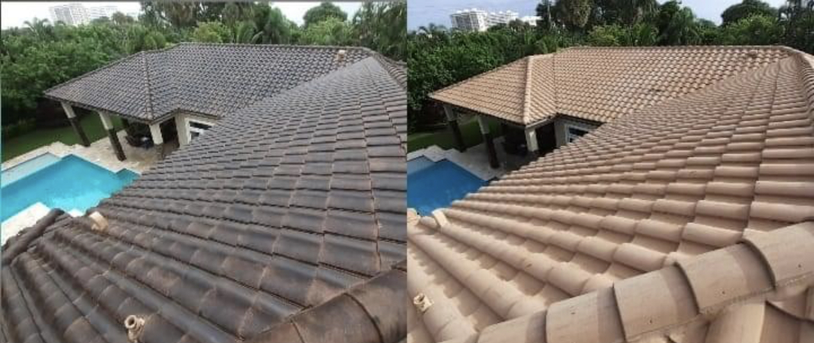 Aqua Knight Exterior Cleaning picture