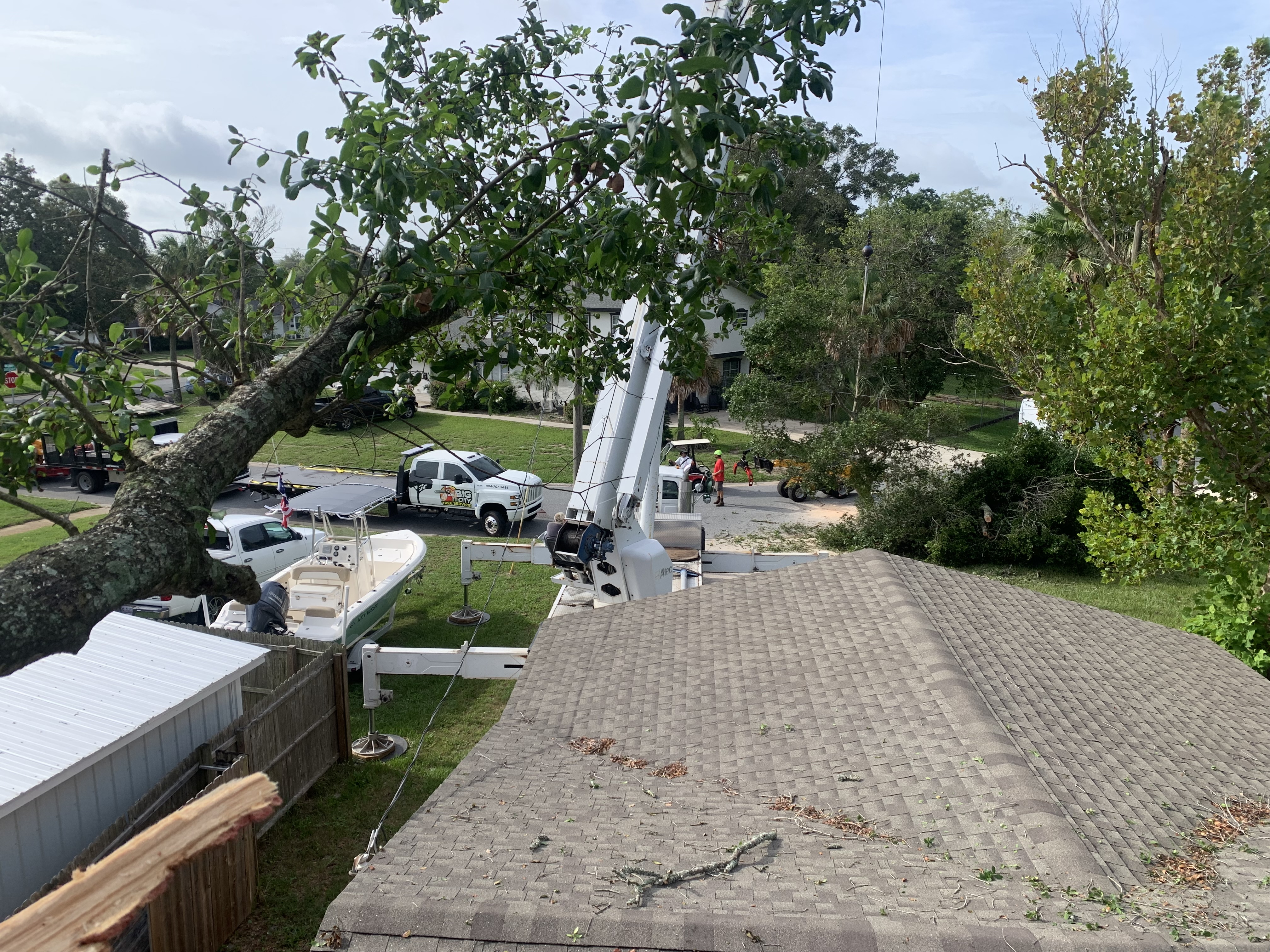 Big City Tree Service picture