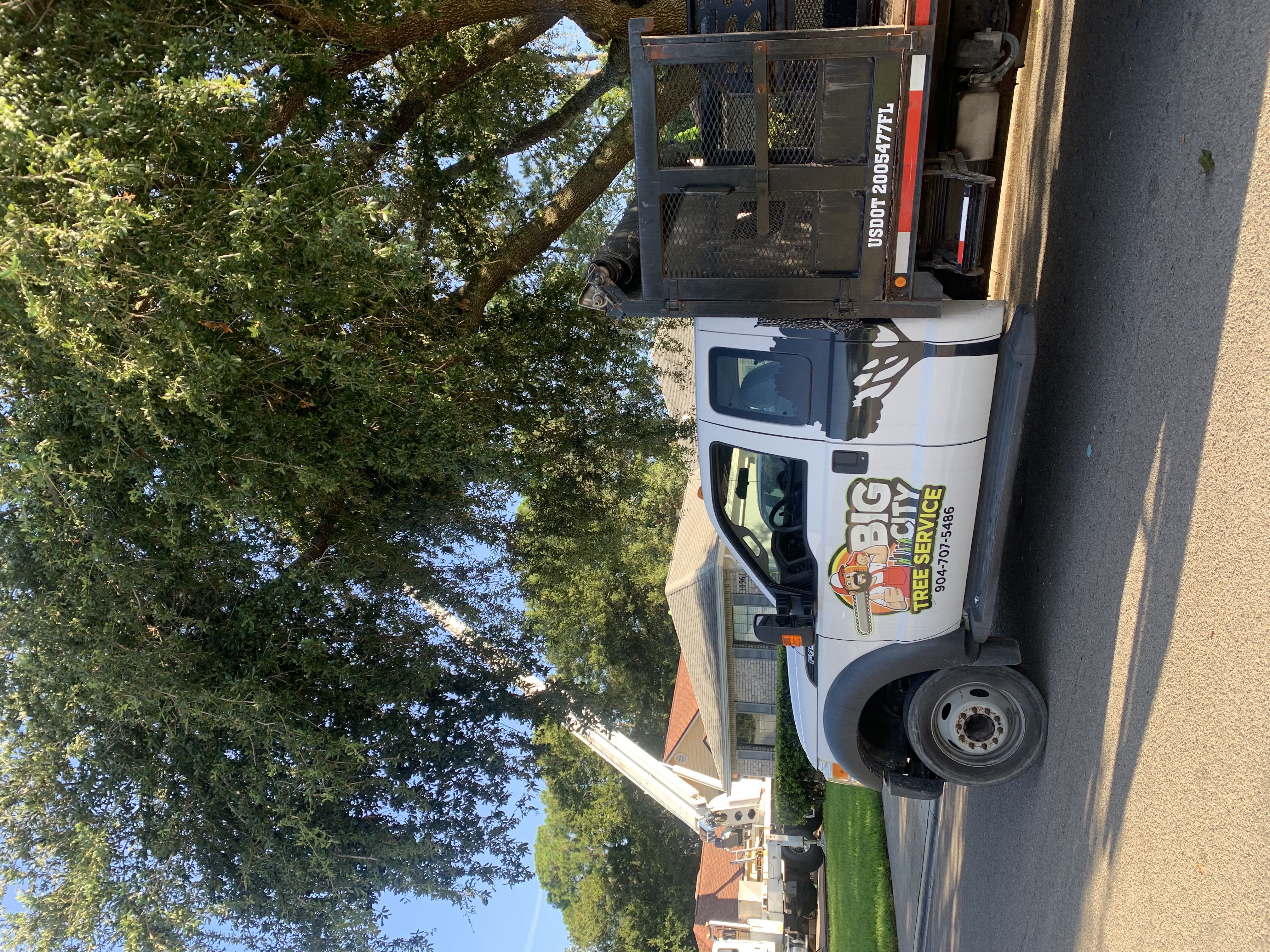 Big City Tree Service picture