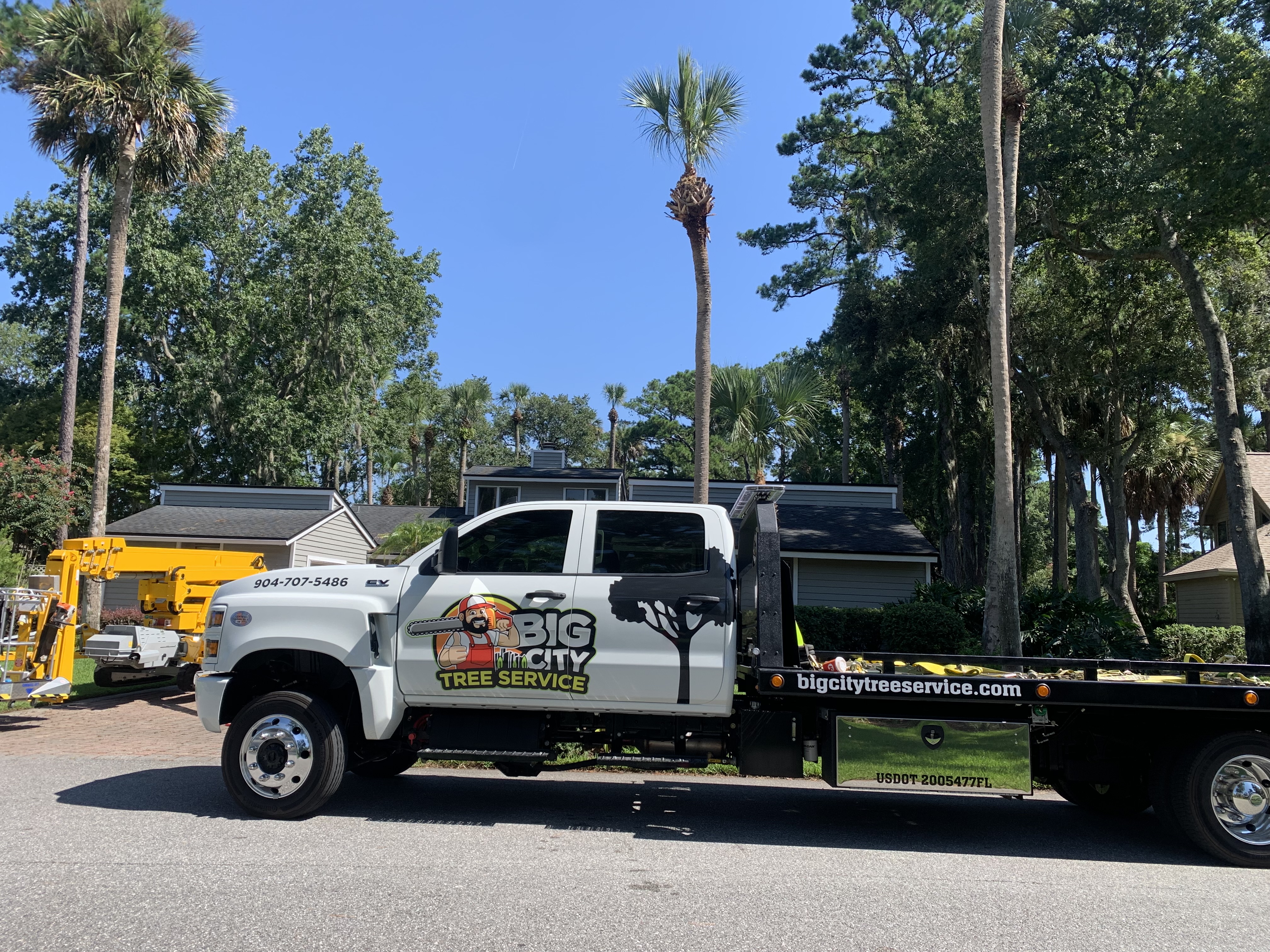 Big City Tree Service picture