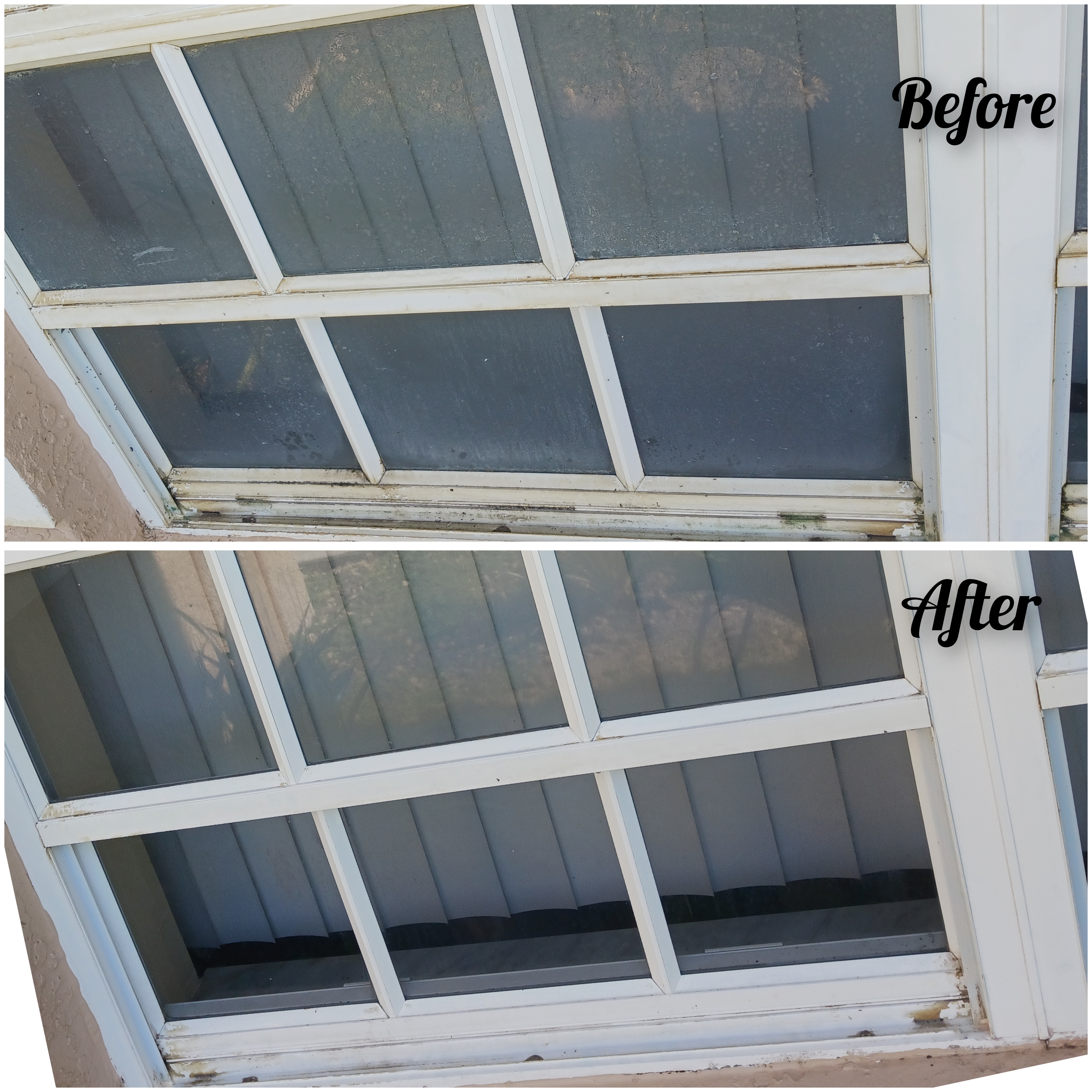 Mobile Surface Cleaning 239 LLC picture