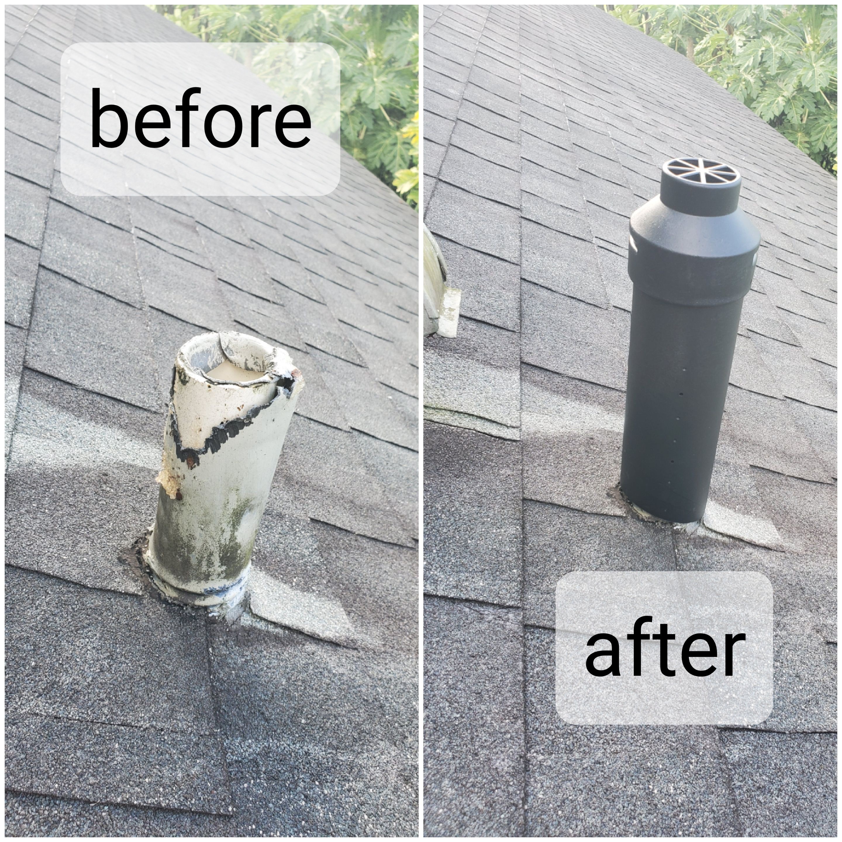 Wildout Animal & Pest Removal picture