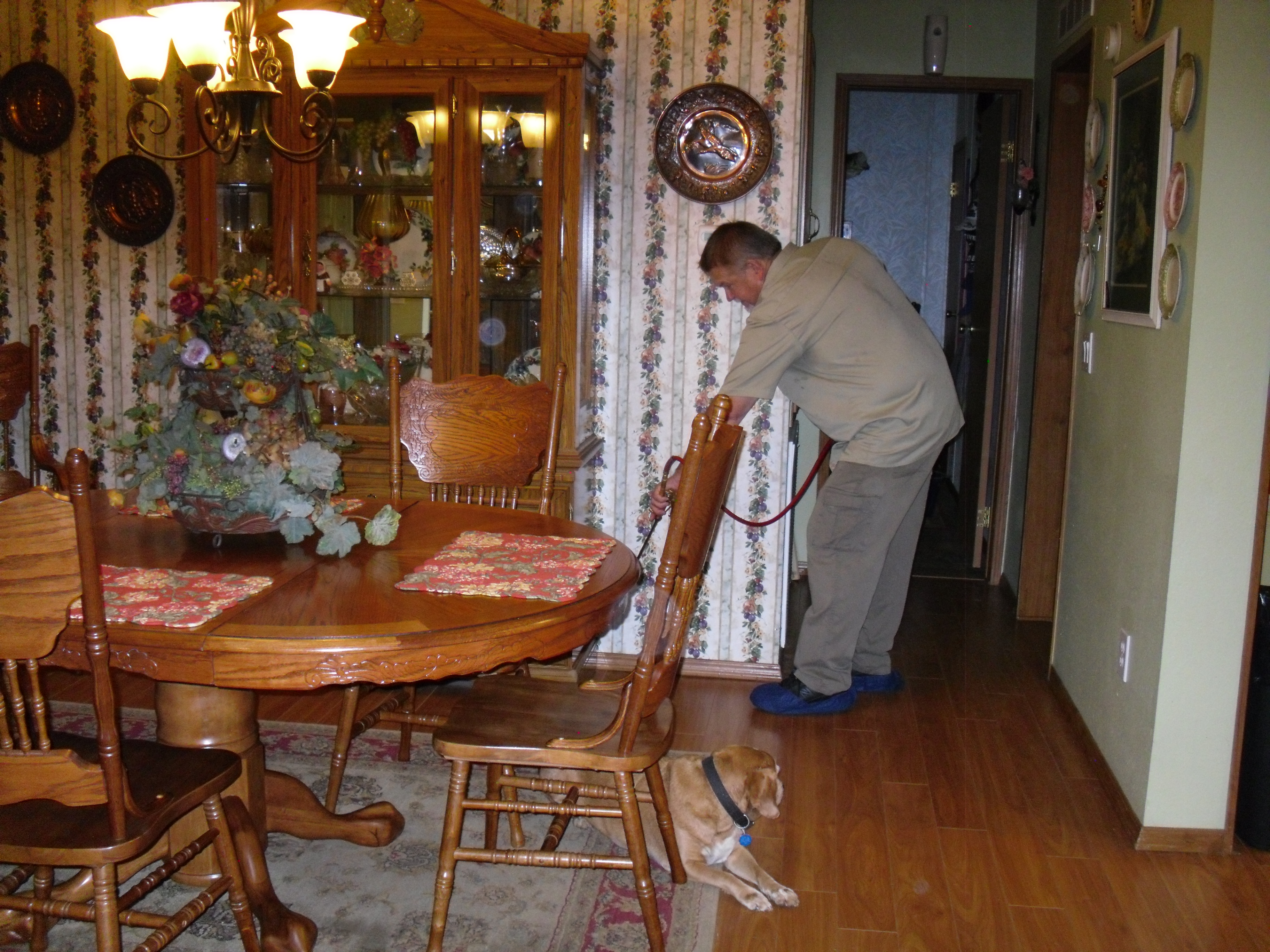 Safari Pest Control, LLC picture