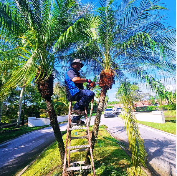 Fresh Start Maintenance Inc picture