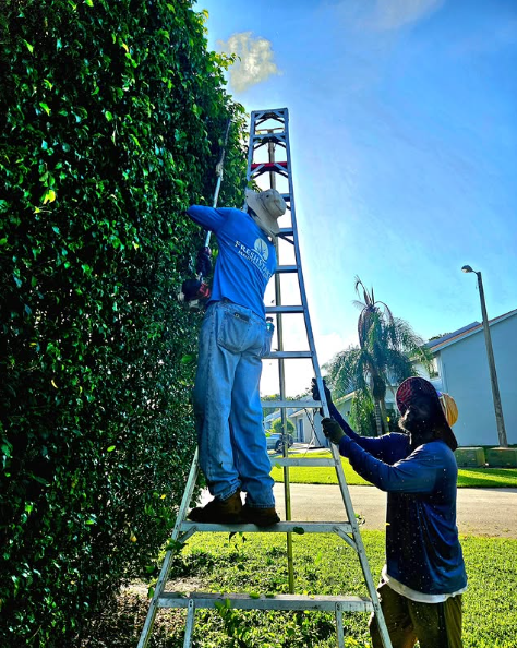 Fresh Start Maintenance Inc picture