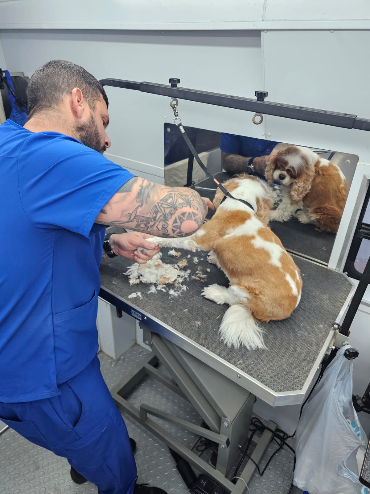 Fur Ever Natural & Fresh mobile Pet Grooming picture