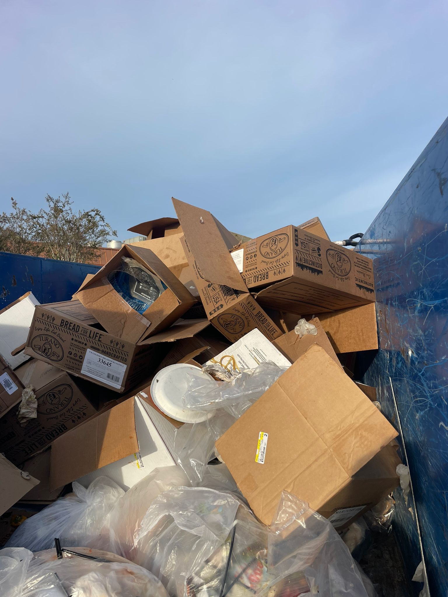 JUNK REMOVAL JM picture