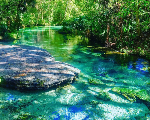 Apopka Florida HOA community