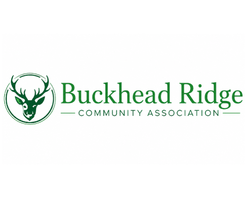 Buckhead Ridge City Image 2