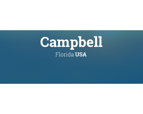 Campbell City Image 2.png