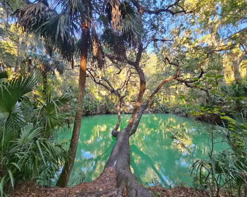 Deltona Florida HOA community