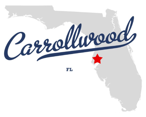 Greater Carrollwood Florida HOA community