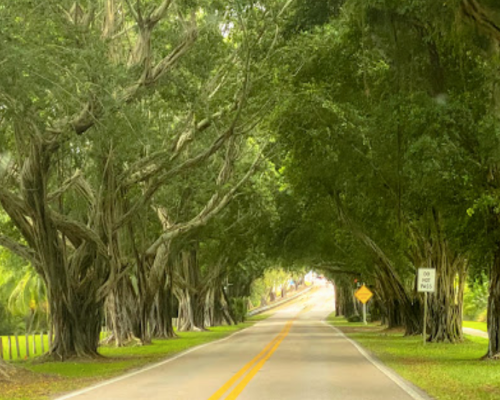 Hobe Sound Florida HOA community