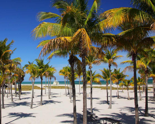 Key Biscayne Florida HOA community