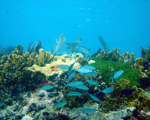 Key Largo City Image 01