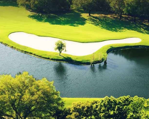 Lake Magdalene Florida HOA community