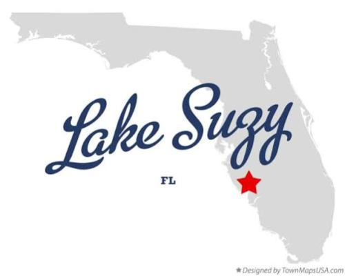 Lake Suzy City Image 2