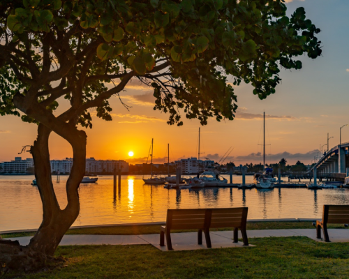 City Image