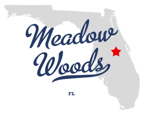 Meadow Woods Florida HOA community